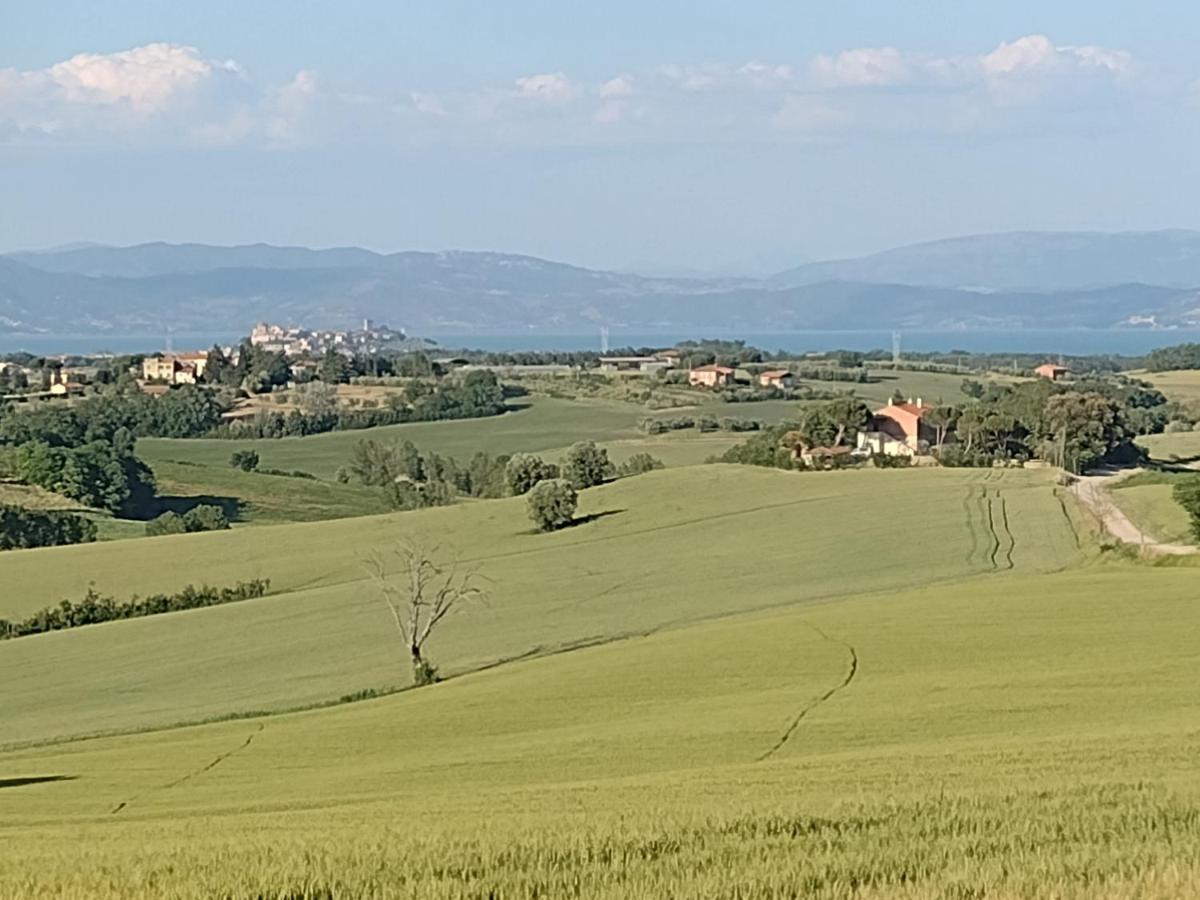 Casa La Selvella Villa Gioiella Luaran gambar